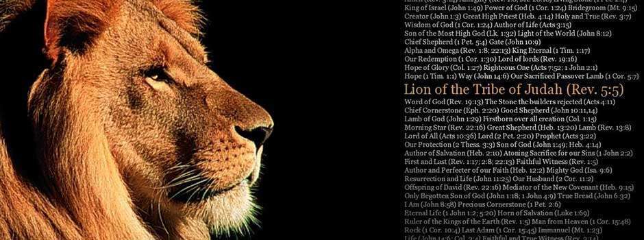 lion_tribe_judah